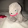 kate wilhelm - @kate.wilhelm1 - TikTok