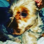 Katy Perry - @blog_da_york_katy - Instagram