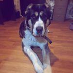 Катерина - @katya.gorbacheva.93 - Instagram