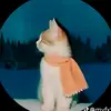 katyamartinez12 - @katyamartines12 - TikTok
