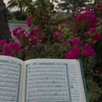 Kausar Karim - Facebook