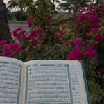 Kausar Karim - @kausar_karem - Instagram