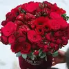 kausarkarimnova@gmail.com - @kausarkarimnovagm6 - TikTok
