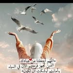 Kausar Mohammed - @kausarmohammed55 - Instagram