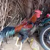 Kavin Kumar - @kavinkumar258 - TikTok