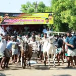 V Kavin Kumar - @_kavin___kumar_ - Instagram