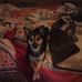 Kay Abernathy - Facebook