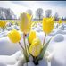 Agrin Kaya - Facebook