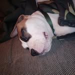 Kay Albrecht - @mike.metzger.18659 - Instagram
