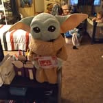 Melissa Kay Anglin - @dragoncatsdragontirger41 - Instagram
