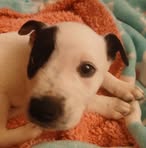Kaylee Arnett Hays - Facebook