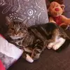 Kay Eatwell - @kay.eatwell - TikTok