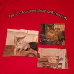 Alison Kay Barnard - @alleykat7979 - Instagram