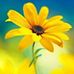 Abby Kay Barnhill - Facebook