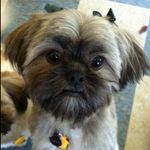 Kay Bartlett - @kaybartlett76 - Instagram