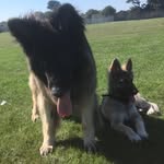 The Art of Fitness - @kay.baxter.77 - Instagram