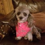 Kay Beard - @kay.beard.7771 - Instagram