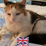 Kay Beard - @kaybeard2019 - Instagram