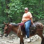 Kay Reynolds Beasley - @horseyyloverr - Instagram