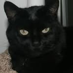 Lucille Kay Berkowitz - Facebook