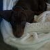 Kay Bickle - Facebook
