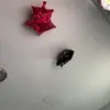 Peque@86 - @kay.bills0 - TikTok