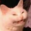 okay_bloomer - @okay_bloomer - TikTok