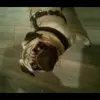 Kay Bonner - @kay.bonner5 - TikTok