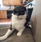 Kay Bow - Facebook