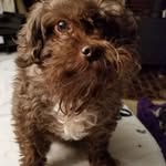 Kay Box - @box6107 - Instagram
