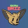 Skaybriz - @skaybriz - TikTok