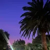 Bush Mama - @kay.broughton - TikTok