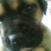 Kay Broughton - Facebook