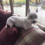 Kay Browne - @kaybrowne84 - Instagram