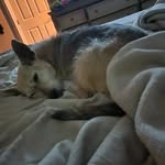Kay Bryan - @faith.bryan65 - Instagram