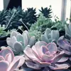 brycekay530 - @brycekay530 - TikTok