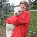 Kay Bryce - Facebook