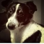kay buckley - @buckley5838 - Instagram