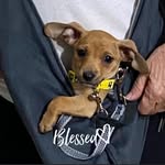 Sharon Kay Buckman - @sharonbuckman04 - Instagram