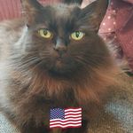 Kay Buckner - @kaybuckner7 - Instagram