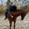 mkaybuckner210 - @mkay.equestrian - TikTok