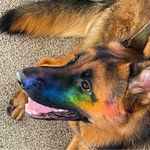 Kay Bunch - @jkbunch58 - Instagram
