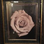 Kay Burris - @burris1597 - Instagram