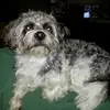 kayburris757 - @kayburris757 - TikTok