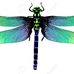 Kay Bynum - Facebook