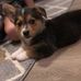 Kay Bynum - Facebook