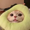 kay_cain - @cain_kay - TikTok
