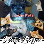 Kay Carmack - @carmackkay - Instagram