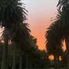 kaylacarnespam - @kaylacarnespam - TikTok