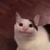 Kaydince Carroll - @kaydince.carroll - TikTok